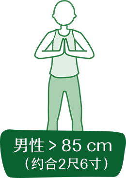 纽崔莱乐纤 s2-title-pc