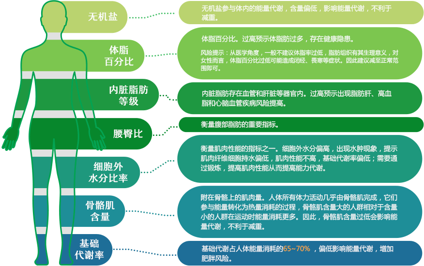 纽崔莱乐纤 s2-title-pc