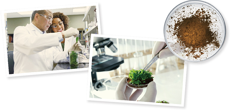 achievement-1 achievement-1